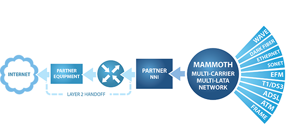 Network Aggregation